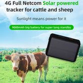 V44 Solar Energy Waterproof Cattle and Sheep GPS Tracker, V44 GPS Tracker